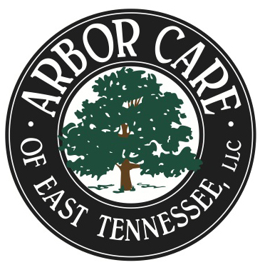 Arbor Care