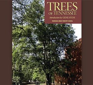 Trees of Tennessee Book