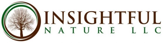 Insightful Nature Logo