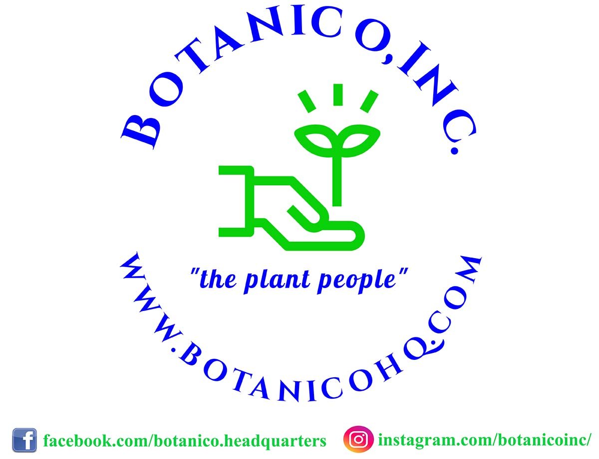 Botanico
