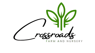 Crossroads Farm and Nursery